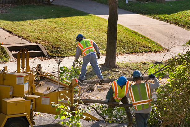 Best Tree Trimming Near Me  in Anadarko, OK